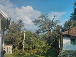 Novi Pazar real-estate - Prodajem seosko domaćinstvo sa šumom